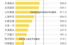 德阳关于伴游小丽中国足球的信息