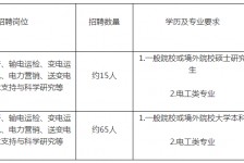 德阳重庆有雇用伴游外围吗(高端外围伴游雇用一单一结)