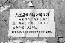德阳珠海伴游雇用网(珠海游览社雇用信息)