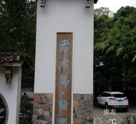 德阳关于伴游中国伴游你们伴得是什么游的信息