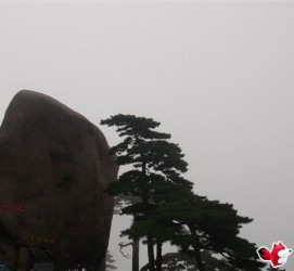 德阳上海伴游私家陪游雇用女模(上海伴游私家陪游雇用女模特)