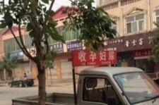 德阳上海伴游 用伴游造句大全(5