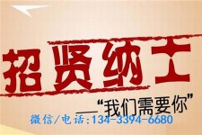 德阳酒店雇用伴游(酒店雇用伴游办事员)