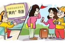 德阳伴游是什么
