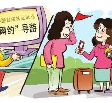 德阳伴游是什么