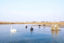 德阳南昌附近伴游小妹兼职(1534939978姐的微信德惠市)