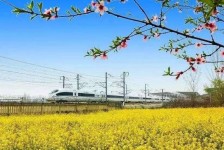 德阳高铁游(高铁游戏下载手机版)