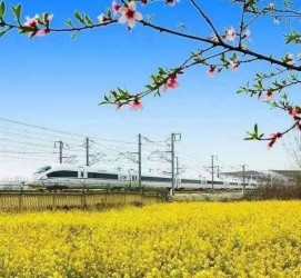 德阳高铁游(高铁游戏下载手机版)