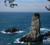 德阳旅游全攻略(上海旅游全攻略)