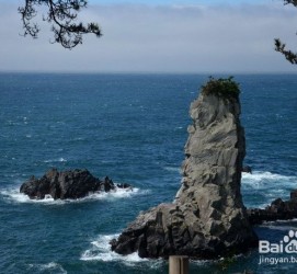德阳旅游全攻略(上海旅游全攻略)