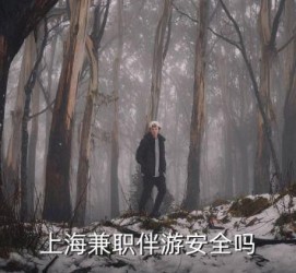 德阳上海私人伴游 上海伴游，上海兼职伴游安全吗