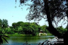 德阳西湖旅游攻略(上海到杭州西湖旅游攻略)