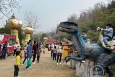 德阳中国伴游带你打卡网红南山竹海(南山竹海网上预约)