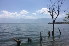 德阳洱海旅游攻略(洱海旅游攻略自由行)