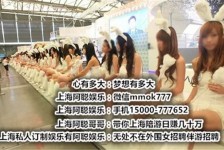 德阳雇用旅游男伴游(北京商务酒店雇用伴游)