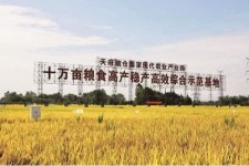 德阳关于成都商务伴游外围雇用的信息