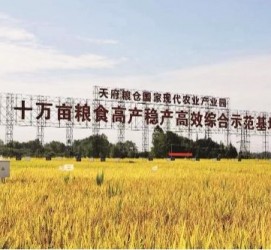 德阳关于成都商务伴游外围雇用的信息