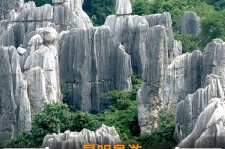 德阳贵阳市游览社英语伴游雇用(贵阳市前十名游览社是哪几家)