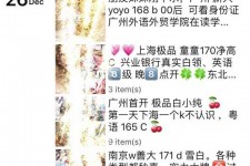 德阳外围伴游雇用圈套(雇用伴游什么样子的是实的)