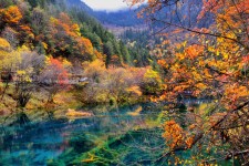 德阳四川旅游攻略(四川旅游攻略十五日游)
