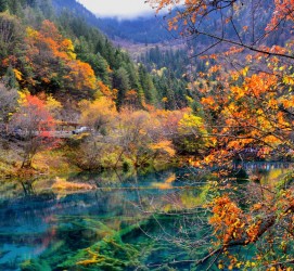 德阳四川旅游攻略(四川旅游攻略十五日游)