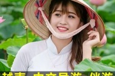 德阳日本关东伴游中国(日本关西旅行)