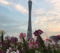 德阳广州旅游攻略(杭州到广州旅游攻略)