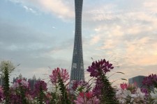德阳广州旅游攻略(杭州到广州旅游攻略)