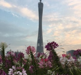 德阳广州旅游攻略(杭州到广州旅游攻略)
