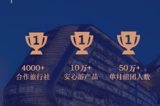 德阳上海私人伴游 ​ “小而美”的新时代：2020年国内新跟团消费报告