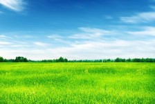 德阳上海伴游 上海模特伴游微信号的交友宣言