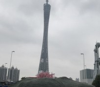 德阳广州游玩攻略(广州游玩攻略景点大全免费)