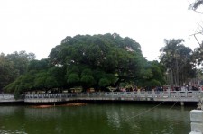 德阳福州旅游攻略(福州旅游攻略二日游)