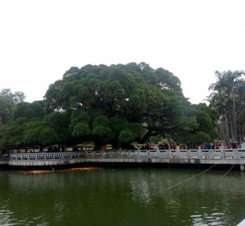德阳福州旅游攻略(福州旅游攻略二日游)