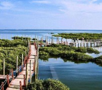 德阳旅游哪里好玩(云南旅游哪里好玩)