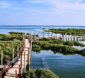 德阳旅游哪里好玩(云南旅游哪里好玩)