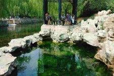 德阳济南旅游攻略(青岛威海济南旅游攻略)