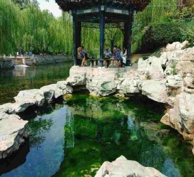德阳济南旅游攻略(青岛威海济南旅游攻略)