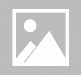 德阳私人伴游 黄金周里动“黄”经 天津又现“私人陪游”逆流
